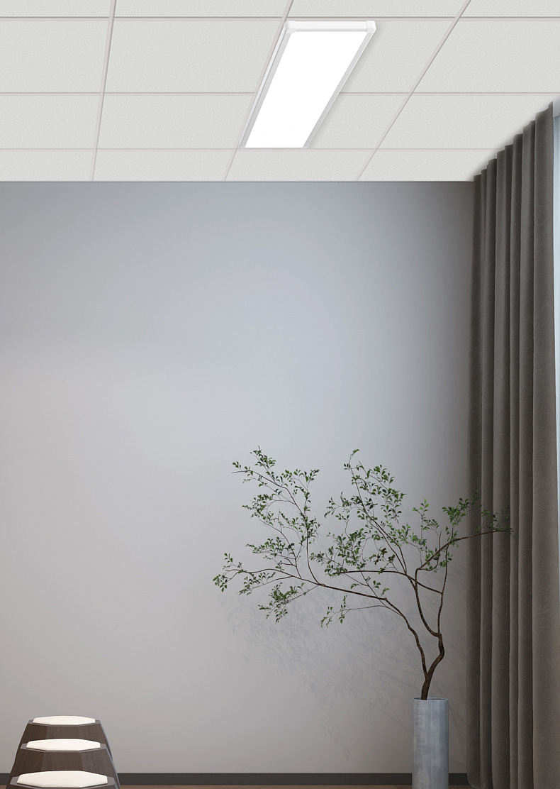 新利体育luck18·(中国)官方网站