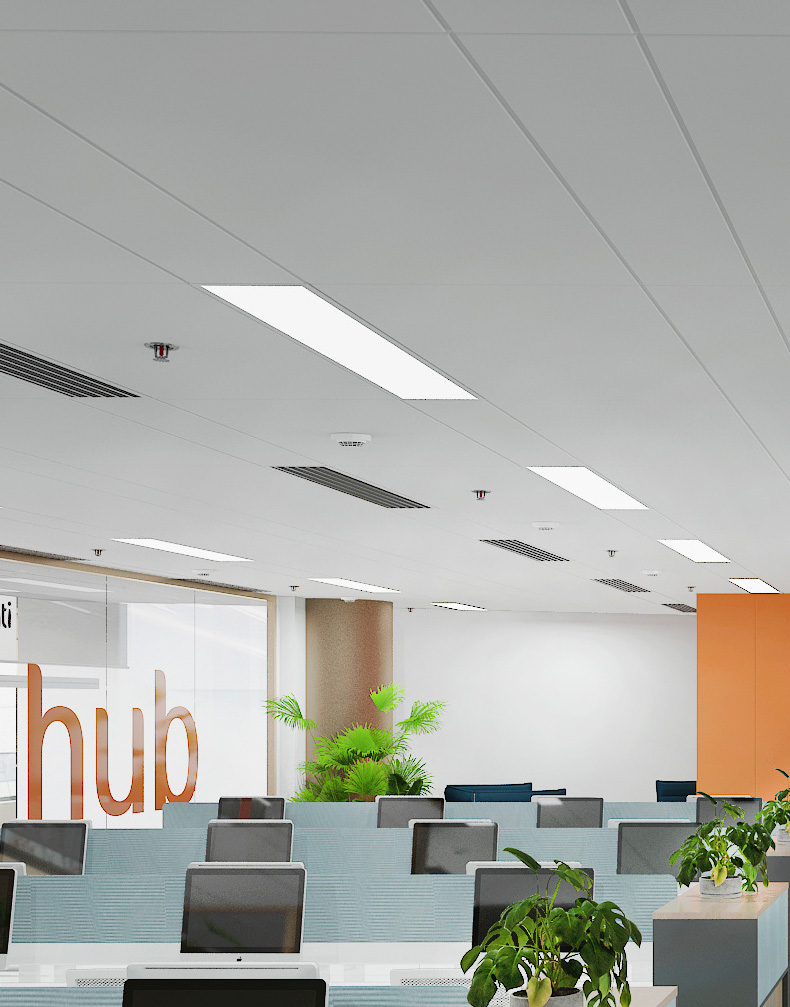 新利体育luck18·(中国)官方网站