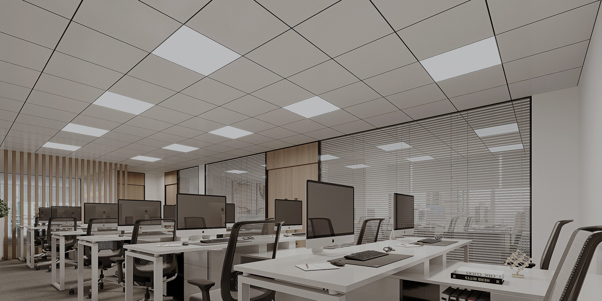 新利体育luck18·(中国)官方网站