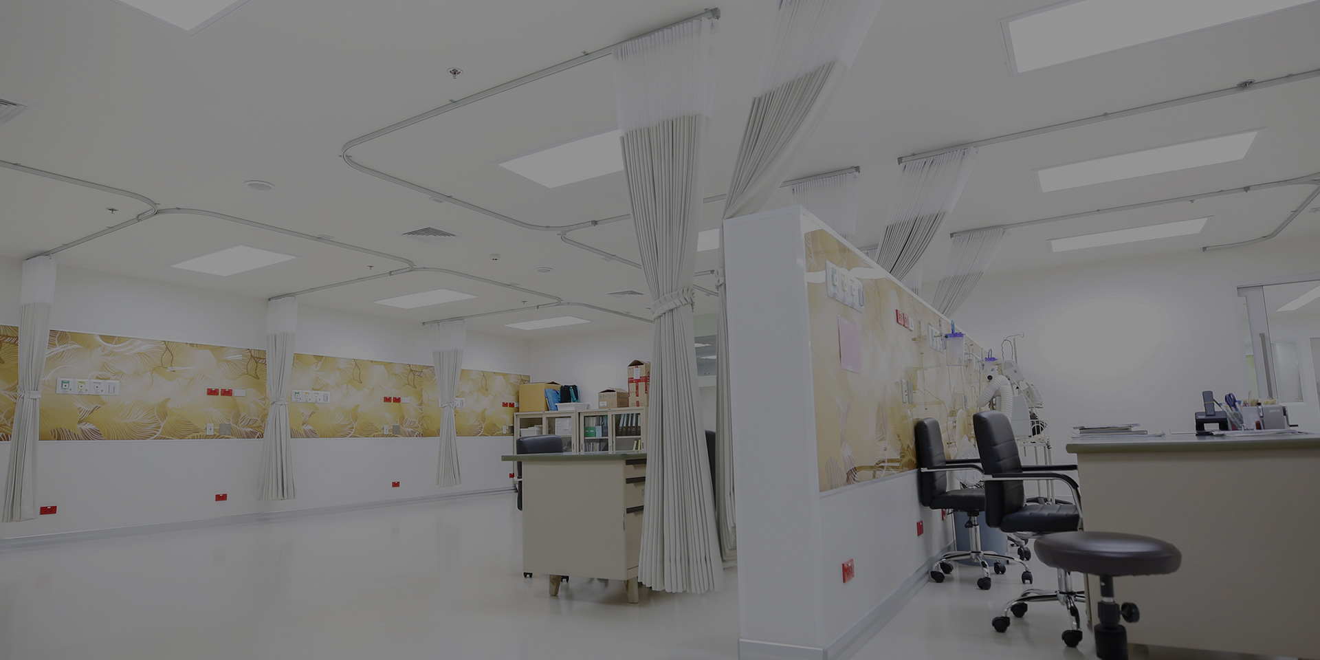 新利体育luck18·(中国)官方网站