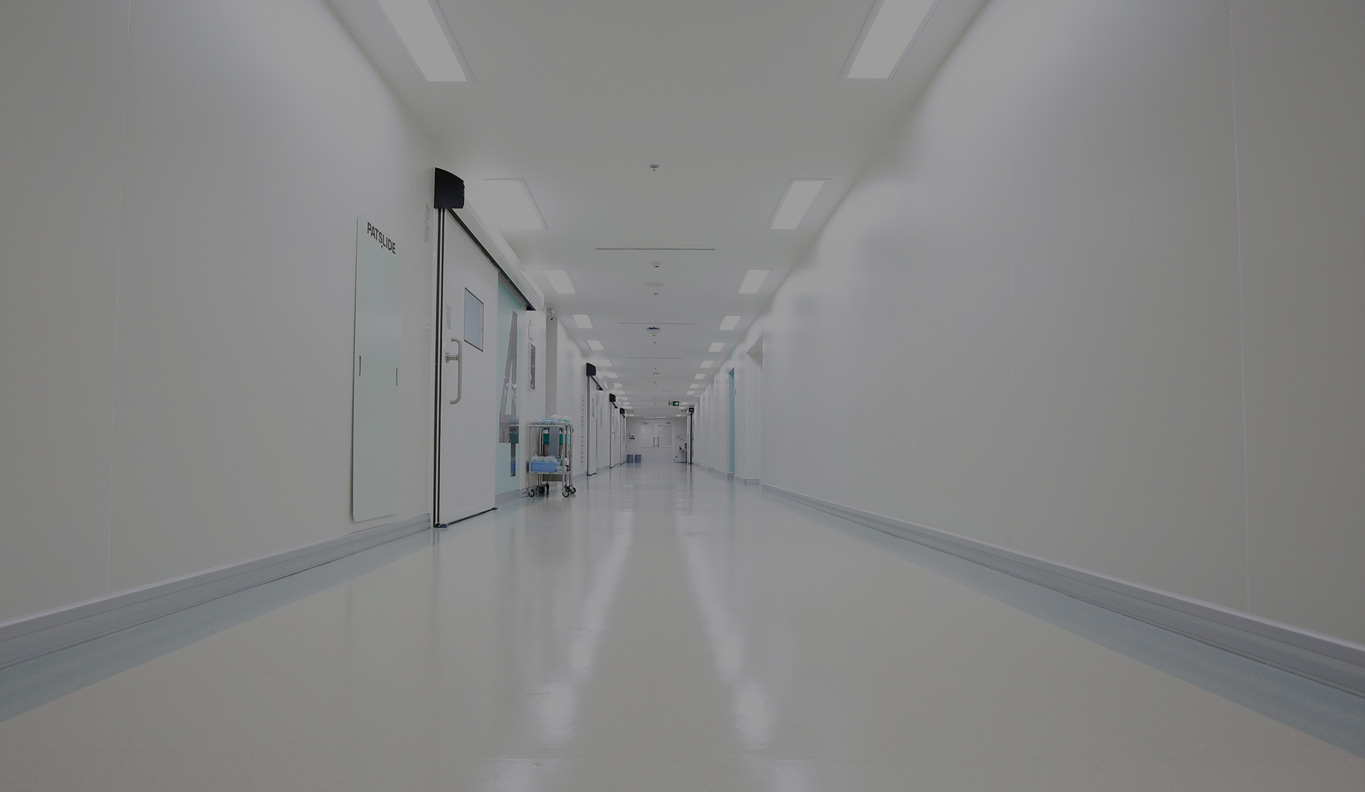 新利体育luck18·(中国)官方网站