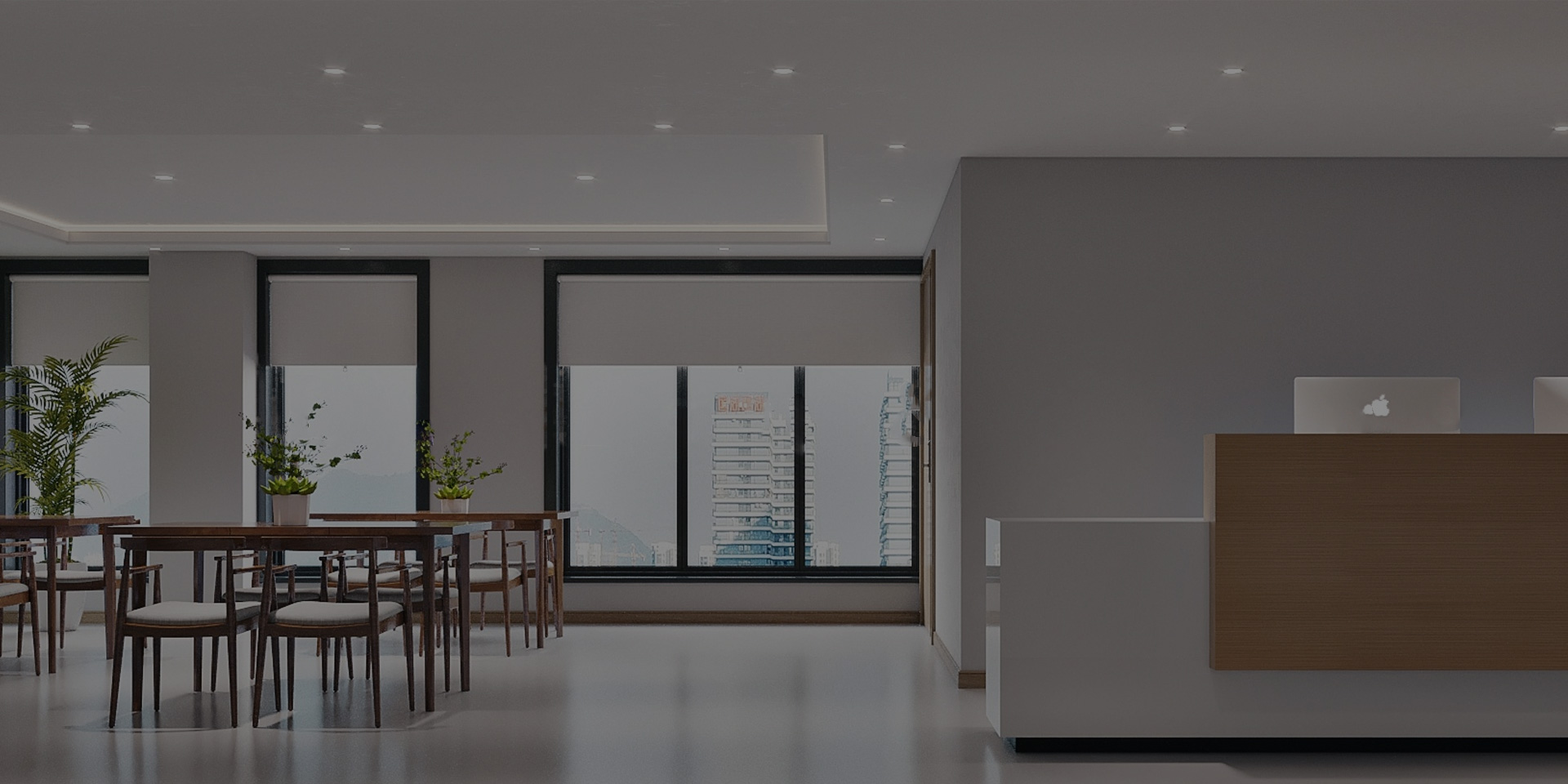 新利体育luck18·(中国)官方网站